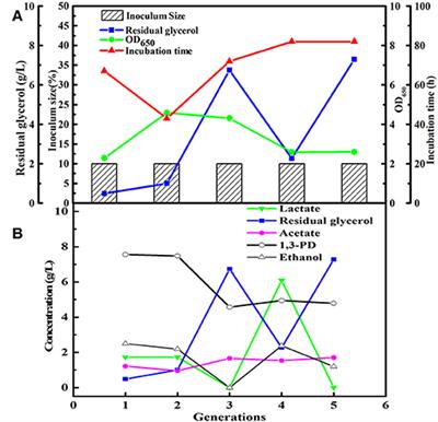 Bioconversion of Raw Glycerol From Waste Cooking-Oil-Based Biodiesel Production to 1,3-Propanediol and Lactate by a Microbial Consortium